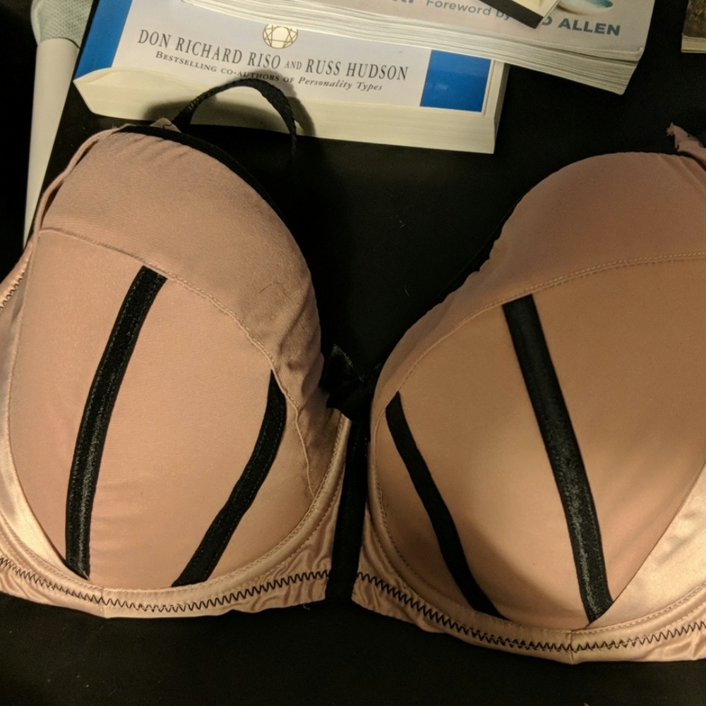 Parfait Charlotte bra 38DDD (US)